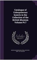 Catalogue of Coleopoterous Insects in the Collection of the British Museum Volume PT.7