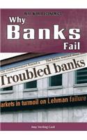 Why Banks Fail: (Real World Economics)
