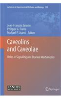 Caveolins and Caveolae