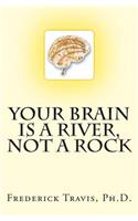 Your Brain is a River, Not a Rock