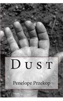 Dust