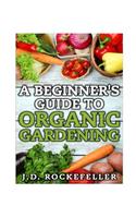 A Beginner's Guide to Organic Gardening