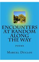 Encounters at Random Along the Way
