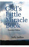 God's Little Miracle Book