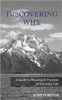 Discovering Why