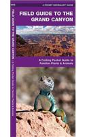 Grand Canyon, Field Guide to the: A Folding Pocket Guide to Familiar Plants and Animals