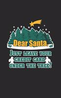 Dear Santa, Just Leave your Credit Card under the Tree!