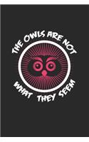 The Owls