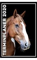 Terminplaner 2020: Jahresplaner von September 2019 bis Dezember 2020 mit Pferd - Planer mit 174 Seiten in weiß im Format A5 mit glänzendem Soft Cover.