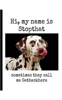 Hi, My Name Is Stopthat Sometimes They Call Me Getbackhere