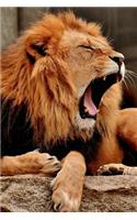 Bored Lion Yawns at the Zoo Journal: 150 page lined notebook/diary