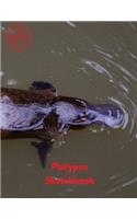 Platypus Sketchbook: (Sketchbook for Girls)