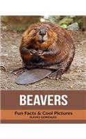 Beavers: Fun Facts & Cool Pictures