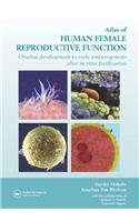 Atlas of Human Female Reproductive Function: Ovarian Development to Early Embryogenesis After in Vitro Fertilization