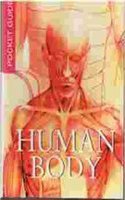 The Human Body