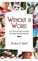 Without A Word