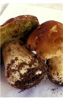 Boletus Edulis Porcini Mushrooms Journal: Take Notes, Write Down Memories in this 150 Page Lined Journal