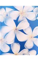 Notebook: frangipani Flower Notebook Journal 8.5 X 11 202 Lined Pages