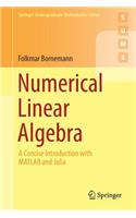 Numerical Linear Algebra: A Concise Introduction with MATLAB and Julia