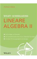 Wiley-Schnellkurs Lineare Algebra II