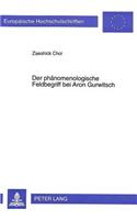 Der Phaenomenologische Feldbegriff Bei Aron Gurwitsch