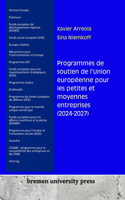 Programmes de soutien de l'Union européenne pour les petites et moyennes entreprises (2024-2027)