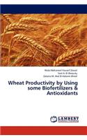 Wheat Productivity by Using Some Biofertilizers & Antioxidants