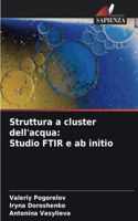 Struttura a cluster dell'acqua