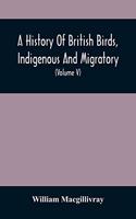 History Of British Birds, Indigenous And Migratory