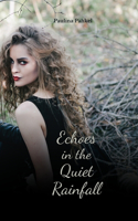 Echoes in the Quiet Rainfall