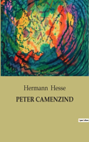 Peter Camenzind