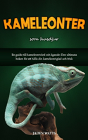 Kameleonter SOM Husdjur