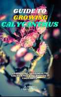 Guide to Growing Calycanthus