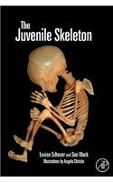 The Juvenile Skeleton