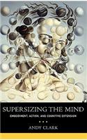 Supersizing the Mind