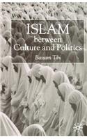 Islam Between Culture and Politics
