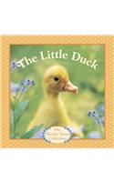 The Little Duck