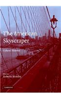 American Skyscraper: Cultural Histories