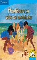 Phadisano ya sebo sa mohlaba (Sepedi): (Little Library Numeracy)