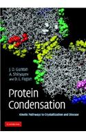 Protein Condensation