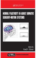 Neural Plasticity in Adult Somatic Sensory-Motor Systems