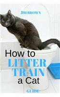 How to litter train a cat: Guide
