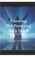 Promised Holy Spirit
