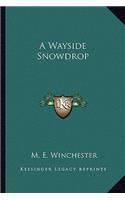 A Wayside Snowdrop