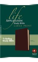 NLT Life Application Study Bible Large Print, Burgundy