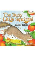 The Busy Little Squirrel