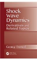 Shock Wave Dynamics