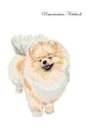Pomeranian Notebook Record Journal, Diary, Special Memories, To Do List, Academic Notepad, and Much More