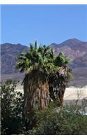 Landscape with Palm Trees Death Valley California Journal: 150 Page Lined Notebook/Diary