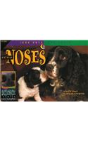 Animal Noses